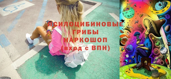 дурь Алексин