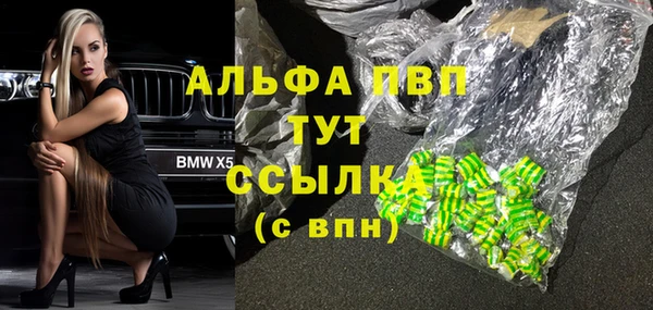 стаф Сафоново