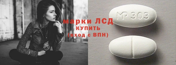 индика Алзамай