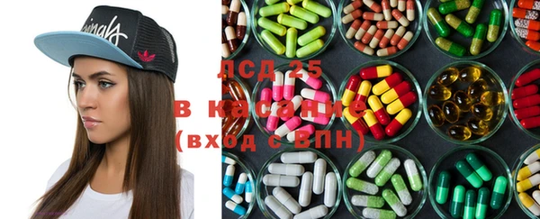 индика Алзамай