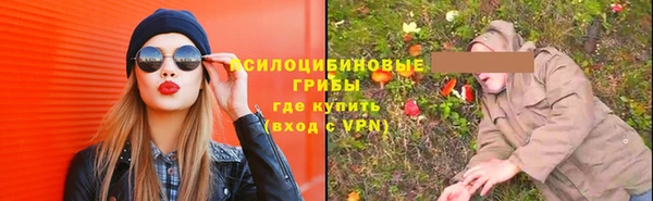 индика Алзамай