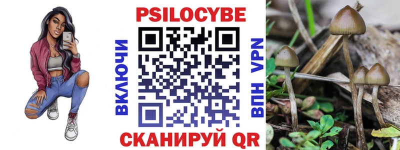 Псилоцибиновые грибы Psilocybine cubensis Каргат